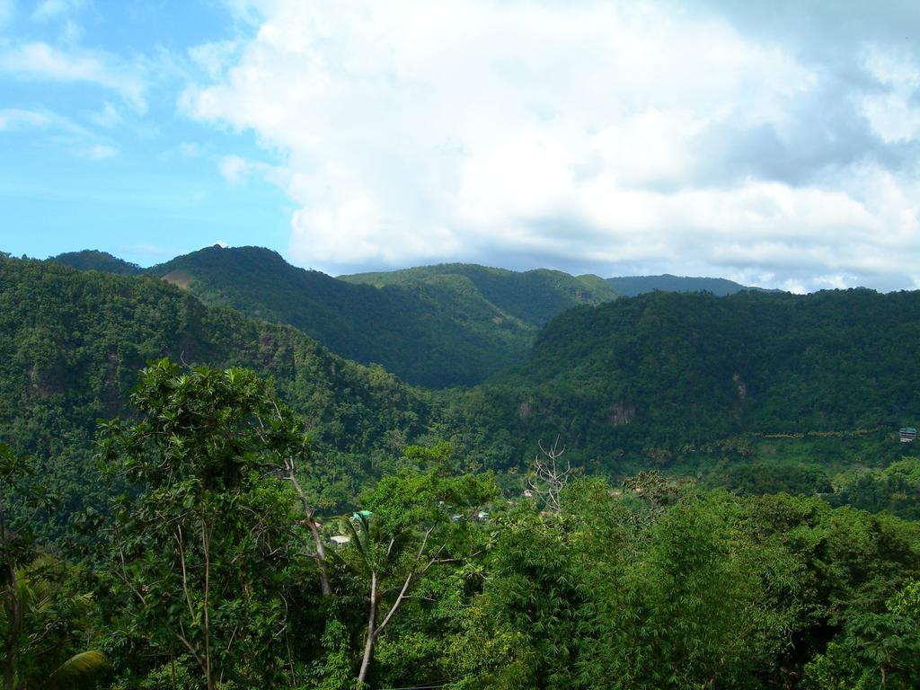 Roxy'S Mountain Lodge Laudat Bagian luar foto