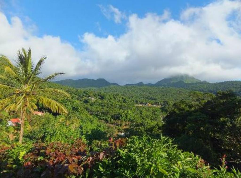 Roxy'S Mountain Lodge Laudat Ruang foto